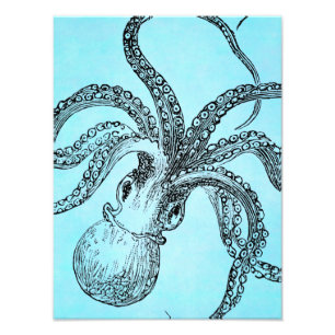 Vintage 1800-octopus op Blauwgroen blauwe Waterver Foto Afdruk