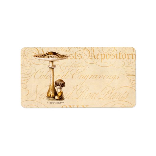 Vintage 1800: Paddenstoel Sjabloon Etiket (Voorkant)