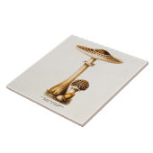 Vintage 1800: Paddenstoel Sjabloon Tegeltje (Zijkant)