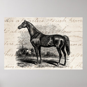 Vintage 1800 Race Horse Retro Thoroughbred Horses Poster