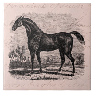 Vintage 1800 Race Horse Retro Thoroughbred Horses Tegeltje