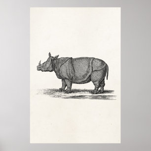 Vintage 1800 Rhinoceros Illustration - Rhino Poster