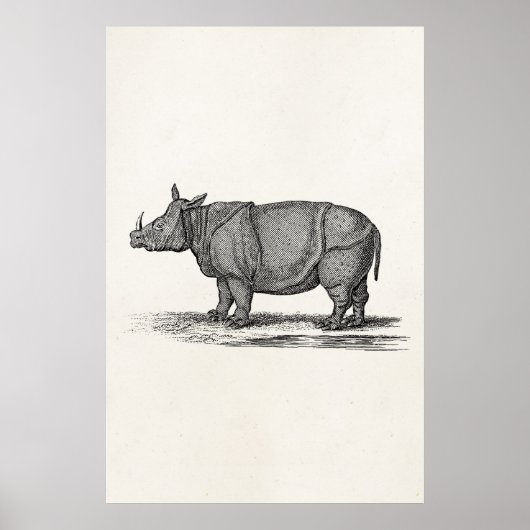 Vintage 1800 Rhinoceros Illustration - Rhino Poster (Voorkant)