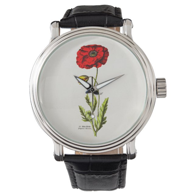 Vintage 1800 Rode papaver, wilde bloemenoppies Horloge (Voorkant)