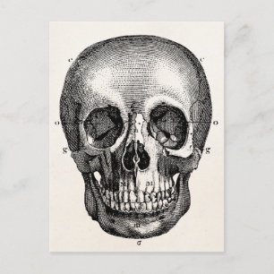 Vintage 1800 Skelet Skelet Briefkaart