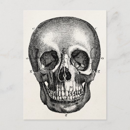 Vintage 1800 Skelet Skelet Briefkaart (Voorkant)