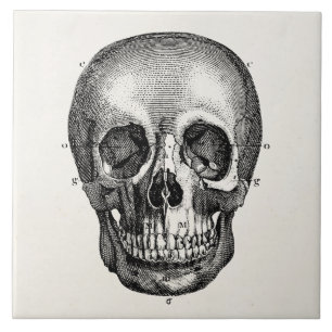 Vintage 1800 Skelet Skelet Tegeltje