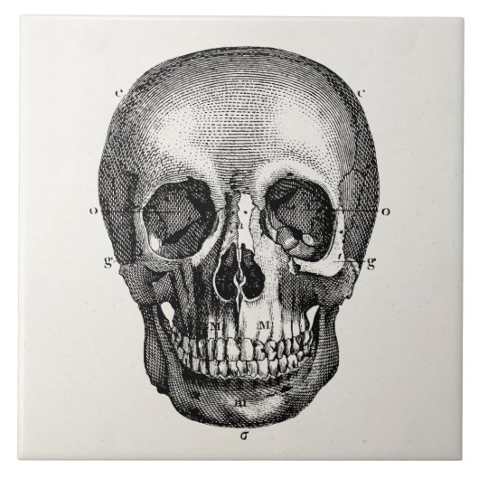 Vintage 1800 Skelet Skelet Tegeltje (Voorkant)