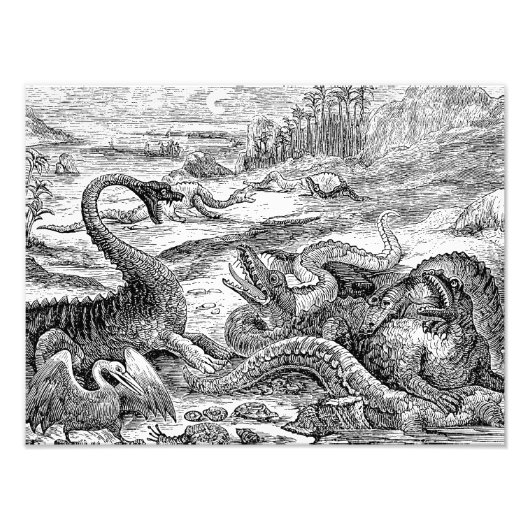 Vintage 1800s Dinosaur Illustration - Dinosaurs Foto Afdruk (Voorkant)