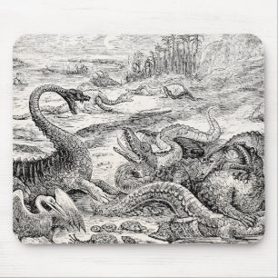 Vintage 1800s Dinosaur Illustration - Dinosaurs Muismat