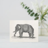 Vintage 1800s Elephant Illustration - Elephants Briefkaart (Staand voorkant)
