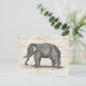 Vintage 1800s Elephant Illustration - Elephants Briefkaart (Staand voorkant)