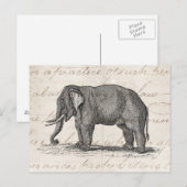 Vintage 1800s Elephant Illustration - Elephants Briefkaart (Voorkant / Achterkant)