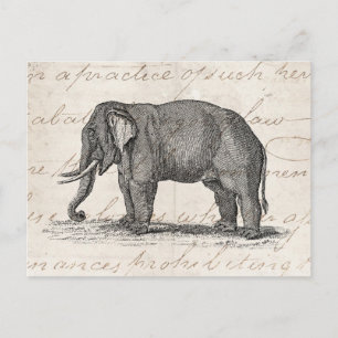 Vintage 1800s Elephant Illustration - Elephants Briefkaart