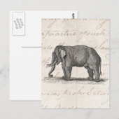 Vintage 1800s Elephant Illustration - Elephants Briefkaart (Voorkant / Achterkant)