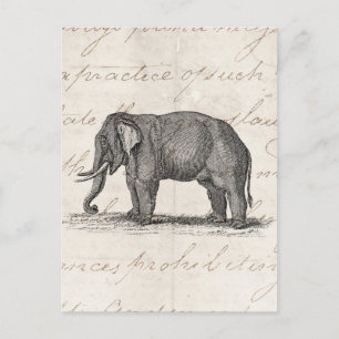 Vintage 1800s Elephant Illustration - Elephants Briefkaart