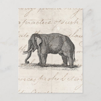 Vintage 1800s Elephant Illustration - Elephants Briefkaart