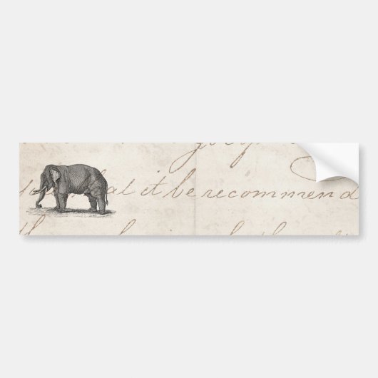 Vintage 1800s Elephant Illustration - Elephants Bumpersticker (Voorkant)