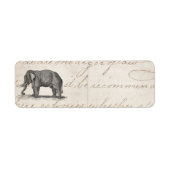 Vintage 1800s Elephant Illustration - Elephants Etiket (Voorkant)