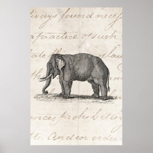 Vintage 1800s Elephant Illustration - Elephants Poster