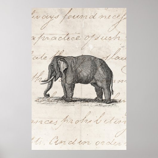 Vintage 1800s Elephant Illustration - Elephants Poster (Voorkant)