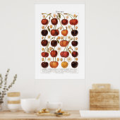 Vintage 1800s Fruit Cherry German Print (Keuken)