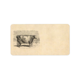 Vintage 1800s Grote Sjabloon van de Koeienretro va Etiket