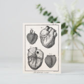 Vintage 1800s Hartretro hartanatomie harten Briefkaart (Staand voorkant)