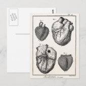 Vintage 1800s Hartretro hartanatomie harten Briefkaart (Voorkant / Achterkant)