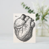 Vintage 1800s Hartretro hartanatomie harten Briefkaart (Staand voorkant)