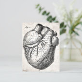 Vintage 1800s Hartretro hartanatomie harten Briefkaart (Staand voorkant)