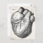 Vintage 1800s Hartretro hartanatomie harten Briefkaart (Voorkant / Achterkant)