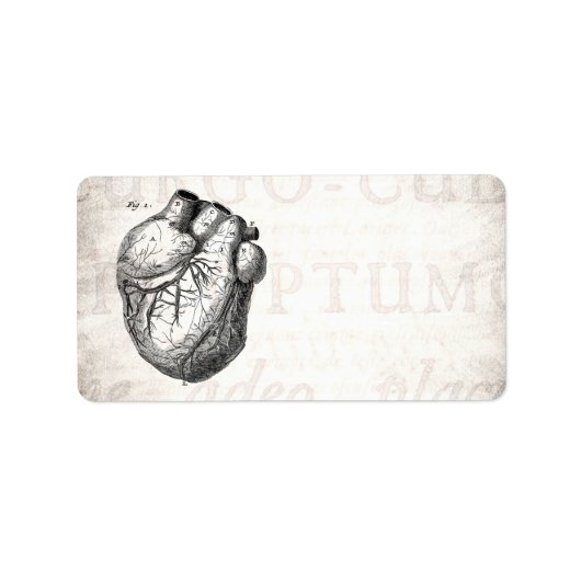 Vintage 1800s Hartretro hartanatomie harten Etiket (Voorkant)