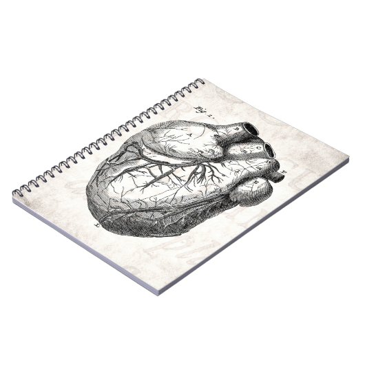 Vintage 1800s Hartretro hartanatomie harten Notitieboek (Linkerzijde)