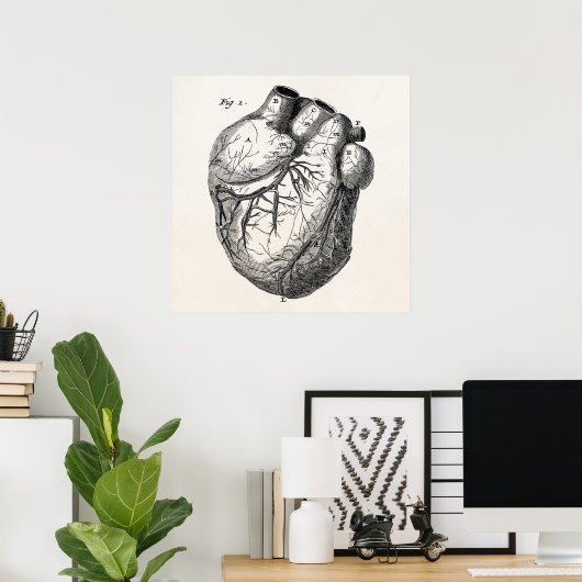 Vintage 1800s Hartretro hartanatomie harten Poster (Thuiskantoor)