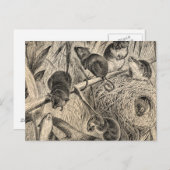 Vintage 1800s Harvest Mouse Retro Mice Sjabloon Briefkaart (Voorkant / Achterkant)