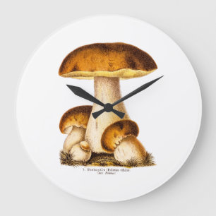 Vintage 1800s Paddenstoel Eetbare paddenstoelen Sj Grote Klok
