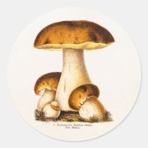 Vintage 1800s Paddenstoel Eetbare paddenstoelen Sj Ronde Sticker