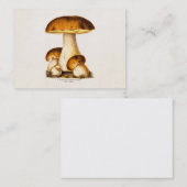 Vintage 1800s Paddenstoel Eetbare paddenstoelen Sj Visitekaartje (Voorkant / Achterkant)