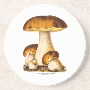 Vintage 1800s Paddenstoel Eetbare paddenstoelen Sj Zandsteen Onderzetter