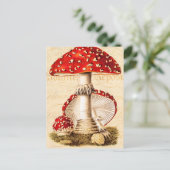 Vintage 1800s Paddenstoel Sjabloon Rode paddenstoe Briefkaart (Staand voorkant)