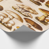 Vintage 1800s Paddenstoelenvariëteit Sjabloon Cadeaupapier (Hoek)