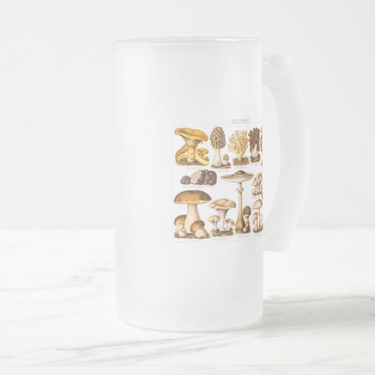 Vintage 1800s Paddenstoelenvariëteit Sjabloon Matglas Bierpul (Voorkant rechts)