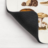 Vintage 1800s Paddenstoelenvariëteit Sjabloon Muismat (Hoek)