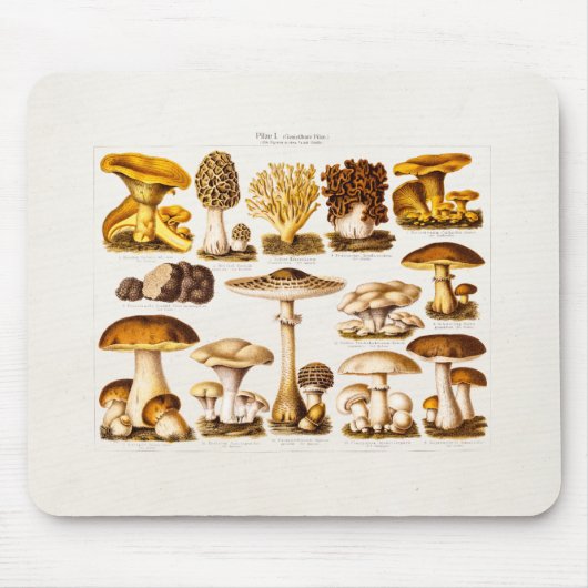 Vintage 1800s Paddenstoelenvariëteit Sjabloon Muismat (Voorkant)