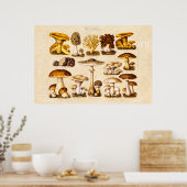 Vintage 1800s Paddenstoelenvariëteit Sjabloon Poster (Keuken)