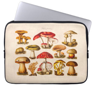 Vintage 1800s Paddenstoelvariëteit Rode paddensto Laptop Sleeve