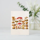 Vintage 1800s Paddenstoelvariëteit Rode paddenstoe Briefkaart (Staand voorkant)