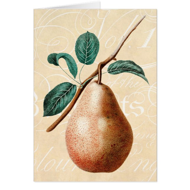 Vintage 1800s Pear Fruit Branch w Leaves - Pears (Voorkant)