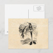 Vintage 1800s Racket-Tail Hummingbird Racquet Tail Briefkaart (Voorkant / Achterkant)